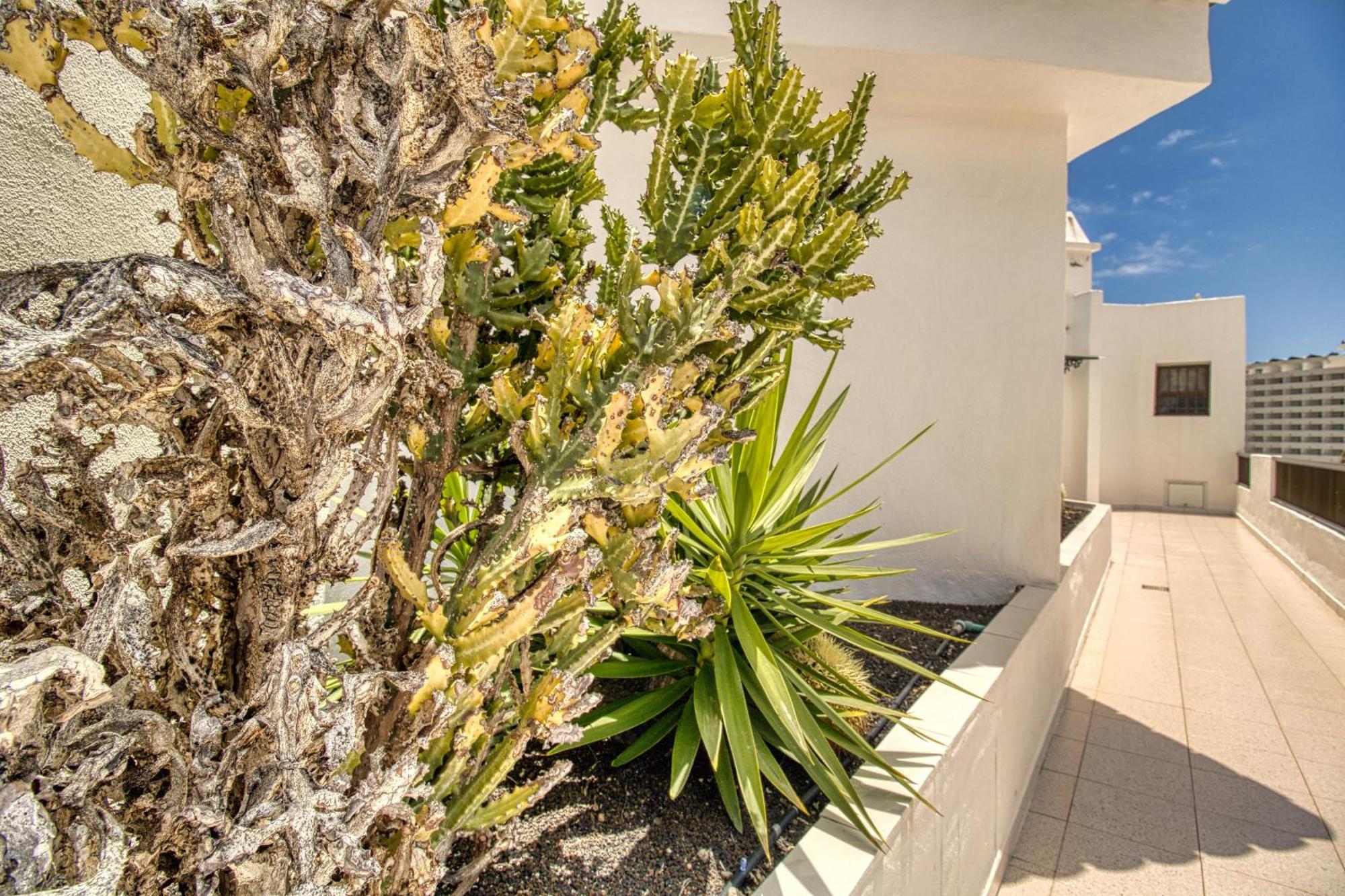 Penthouse Sea View Jacuzzy Terrace & Pool Daire Playa Feñabe Dış mekan fotoğraf